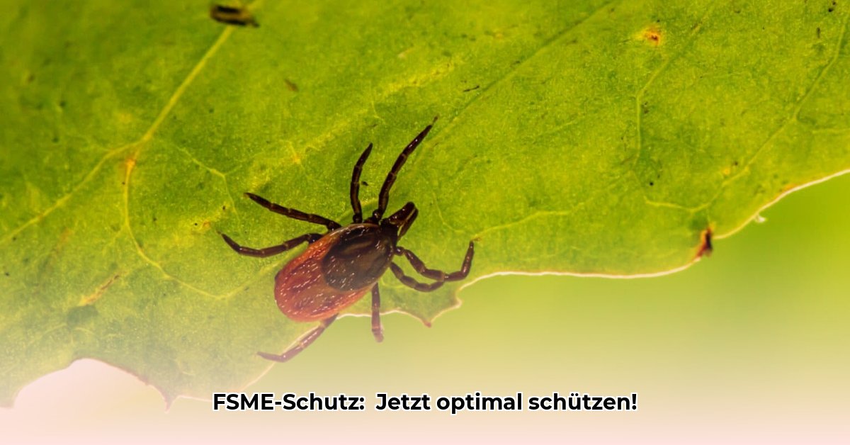 fsme-auffrischung